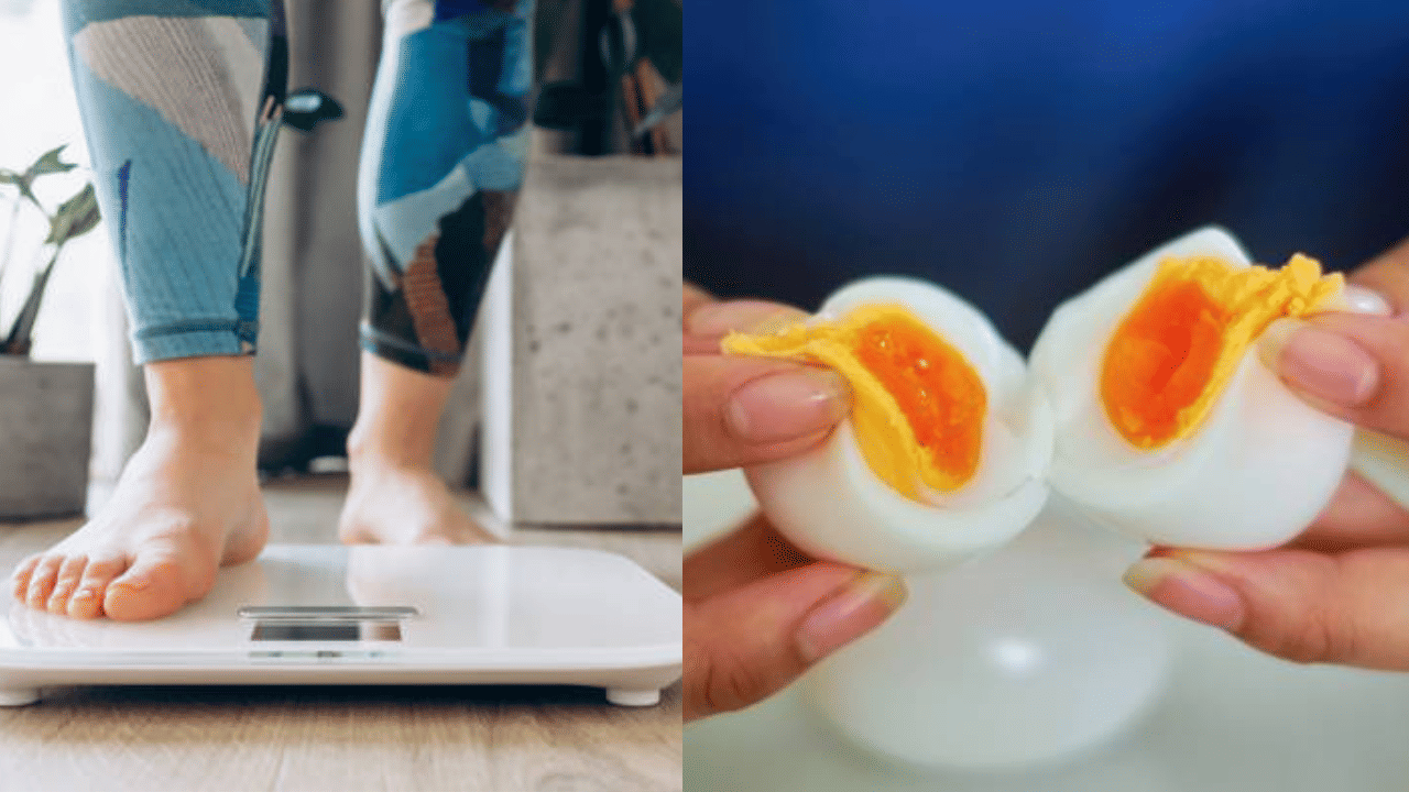 Weight Loss: വണ്ണം കുറയ്ക്കാൻ മുട്ട എങ്ങനെ കഴിക്കണം? പുഴുങ്ങിയതാണോ ഓംലെറ്റാണോ നല്ലത്? Weight Loss: വണ്ണം കുറയ്ക്കാൻ മുട്ട എങ്ങനെ കഴിക്കണം? പുഴുങ്ങിയതാണോ ഓംലെറ്റാണോ നല്ലത്?