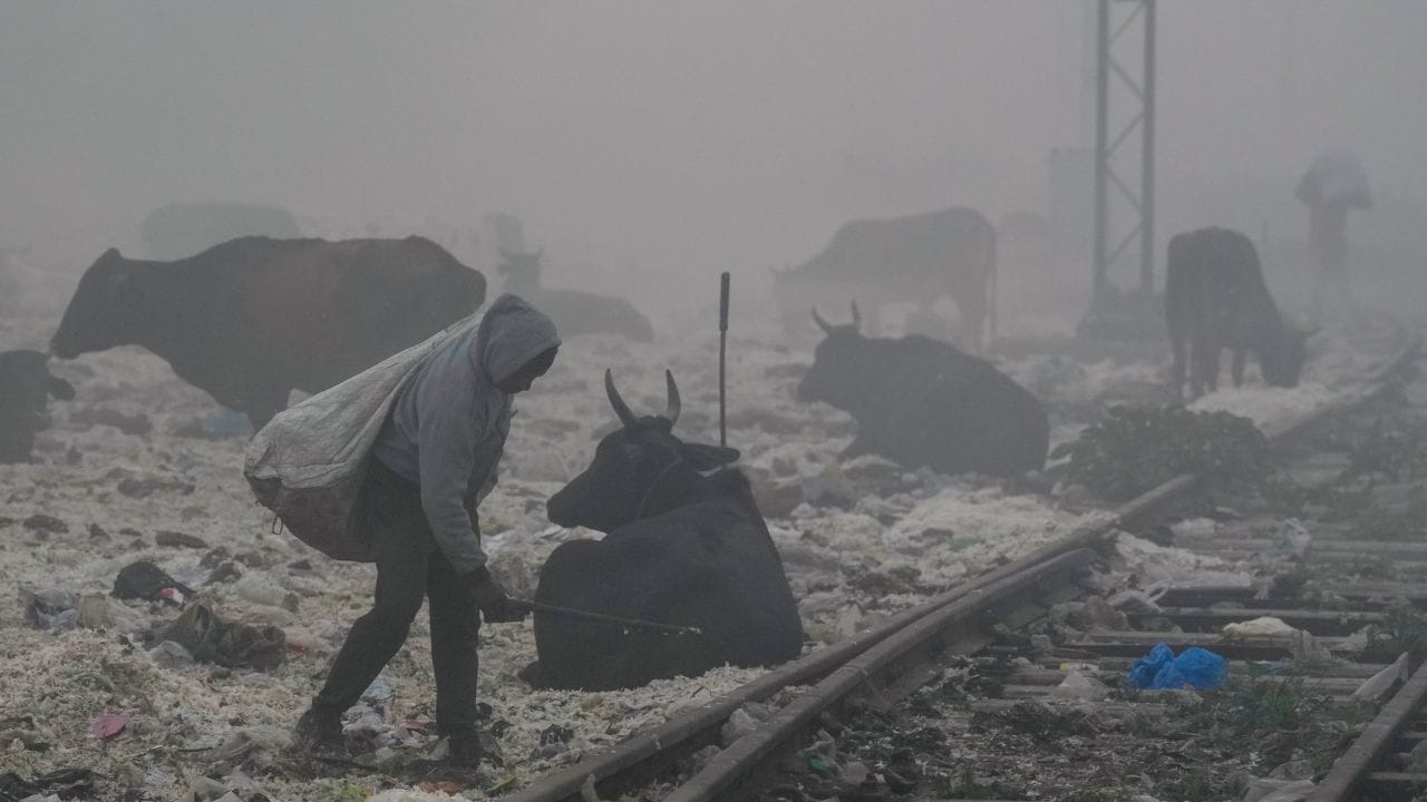 മഞ്ഞേരി- ബെംഗളൂരുവില്‍ നിന്ന് ഏകദേശം 100 കിലോമീറ്റര്‍ ദൂരത്തുള്ള സ്ഥലമാണ് മഞ്ഞേരി. പ്രകൃതി സൗന്ദര്യത്തിനും ശുദ്ധവായു ശ്വസിക്കാനും ഈ സ്ഥലം വളരെ പ്രസിദ്ധമാണ്. 

