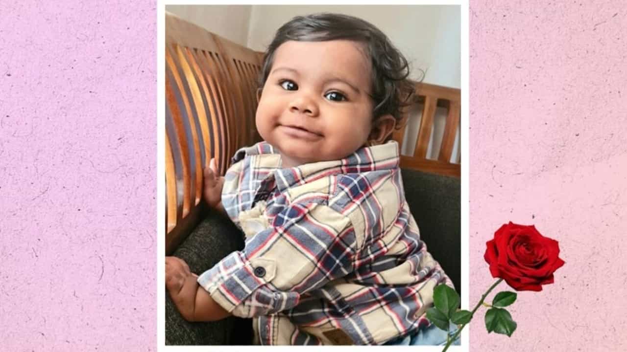 Alin Sherin: ആലിന് ഷെറിന് ഇനി നാലു പേരിലൂടെ ജീവിക്കും; അവയവങ്ങള് കൊച്ചിയില് നിന്ന് തിരുവനന്തപുരത്ത് എത്തിച്ചത് 3.19 മണിക്കൂറിനുള്ളില് Alin Sherin: ആലിന് ഷെറിന് ഇനി നാലു പേരിലൂടെ ജീവിക്കും; അവയവങ്ങള് കൊച്ചിയില് നിന്ന് തിരുവനന്തപുരത്ത് എത്തിച്ചത് 3.19 മണിക്കൂറിനുള്ളില്