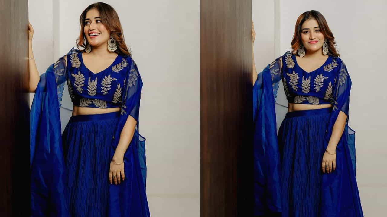 Anumol: ഇറക്കാൻ ഞാൻ എന്താടോ ചാക്കോ? ഓൺലൈൻ മീഡിയക്കാരന് വായടപ്പിക്കുന്ന മറുപടിയുമായി അനുമോൾ