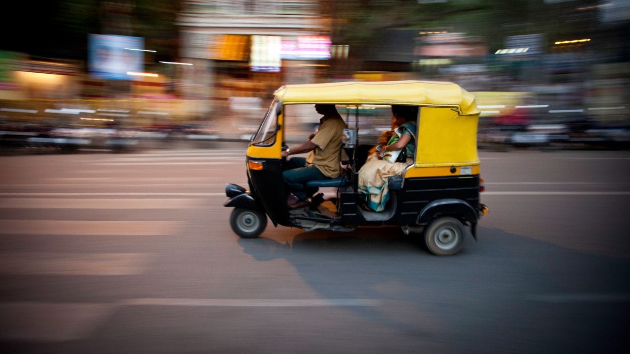 ഇവയ്ക്ക് പുറമെ അനധികൃത ഫ്‌ളെക്‌സ് ബോര്‍ഡുകളും ബാനറുകളും നീക്കം ചെയ്യാനും റോഡരികുകളിലും ഒഴിഞ്ഞുകിടക്കുന്ന സ്ഥലങ്ങളിലും മാലിന്യം നിക്ഷേപിക്കുന്നവരെ കണ്ടെത്താനും നടപടികള്‍ ആരംഭിച്ചു. 
