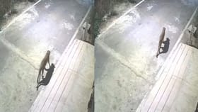 ബെംഗളൂരുവിൽ പുള്ളിപ്പുലി ഇറങ്ങി; പ്രദേശത്തെ നടുക്കി വൈറൽ വീഡിയോ