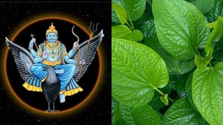 Mahashivratri 2026: മഹാശിവരാത്രി വ്രതത്തിന്റെ പൂർണ്ണഫലം നേടാൻ 5 കാര്യങ്ങൾ