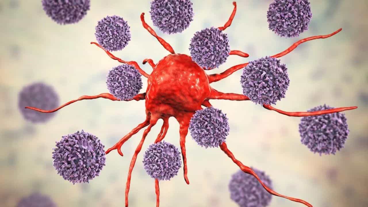 ആയൂർവേദം ക്യാൻസറിന് മാറ്റി നിർത്തും; ബാബ രാംദേവ് പറയുന്നു