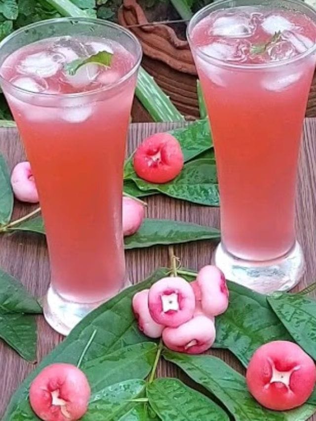 ചൂടത്ത് ബെസ്റ്റ് ചാമ്പക്ക ജ്യൂസാ..! ഇങ്ങനെ തയ്യാറാക്കാം