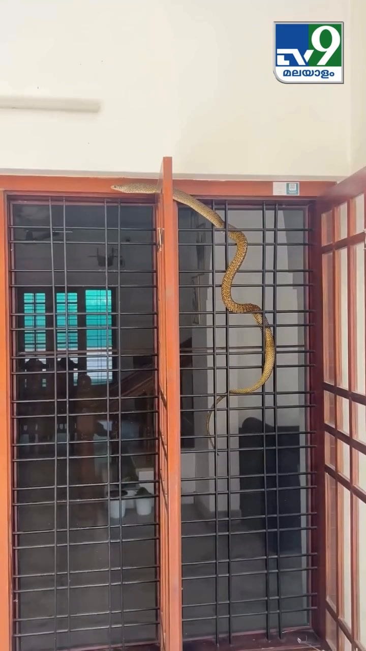 ജനലിൽ കയറി എങ്ങോട്ടാ, അവസാനം ചേര സർ പെട്ടുപോയി