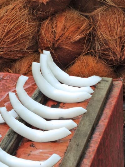 തേങ്ങ ഒരിക്കലും കേടാകില്ല; വര്‍ഷങ്ങളോളം സൂക്ഷിക്കാനുള്ള ടിപ്പിതാ