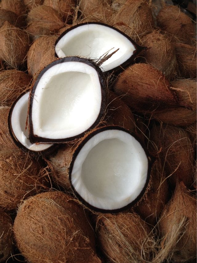 പൂപ്പല്‍ പിടിച്ച തേങ്ങ കളയല്ലേ; ഈ ടിപ്പ് പരീക്ഷിച്ചാല്‍ മതി