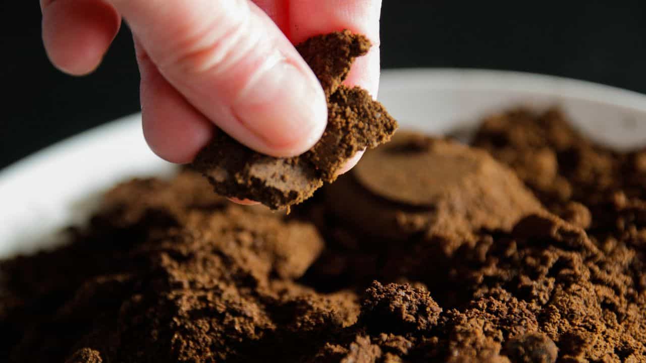 Kitchen Tips: കാപ്പിപ്പൊടി കട്ടപിടിച്ച് കല്ലുപോലെയാകുന്നോ? കൂടുതൽ നാൾ ഫ്രഷ് ആയിരിക്കാനുള്ള വഴികൾ