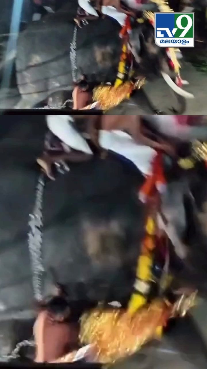 ഹൈഡ്രജൻ ബലൂണിന് തീപിടിച്ചു. മണപ്പുള്ളിക്കാവ് വേലയ്ക്കിടെ ആനകൾ വിരണ്ടു