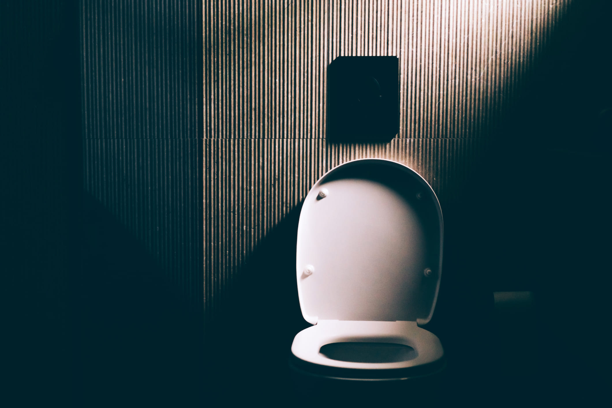 വൈറസുകൾ വായുവിൽ പടരാതിരിക്കാൻ ഫ്ലഷ് ചെയ്യുമ്പോൾ മൂടി അടച്ചിടണമെന്നാണ് പറയപ്പെടുന്നത്. എന്നാൽ അടുത്തിടെ പുറത്തുവന്ന ഒരു പഠനം പറയുന്നത്, മൂടി അടച്ചു വയ്ക്കുന്നത് അണുബാധ തടയുന്നതിൽ അത്ര ഫലപ്രദമല്ല എന്നാണ്.  ഫ്ലഷ് ചെയ്യുമ്പോൾ, വെള്ളം ശക്തിയായി വരുന്നതിലൂടെ തുള്ളികൾ വായുവിലേക്ക് തെറിക്കുന്നു. ഇതിനെയാണ് 'ടോയ്‌ലറ്റ് പ്ലൂം' എന്ന് പറയുന്നത്. ഈ തുള്ളികളിൽ മലമൂത്ര വിസർജ്യങ്ങളിൽ നിന്നുള്ള മാരകമായ ബാക്ടീരിയകളും വൈറസുകളും അടങ്ങിയിരിക്കുന്നു.
