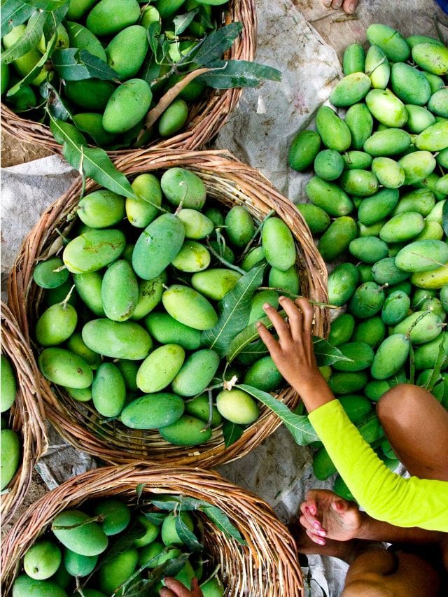 കടുമാങ്ങ അച്ചാറിടാം; ചേരുവകള്‍ കുറവ് ടേസ്റ്റ് ഗംഭീരം