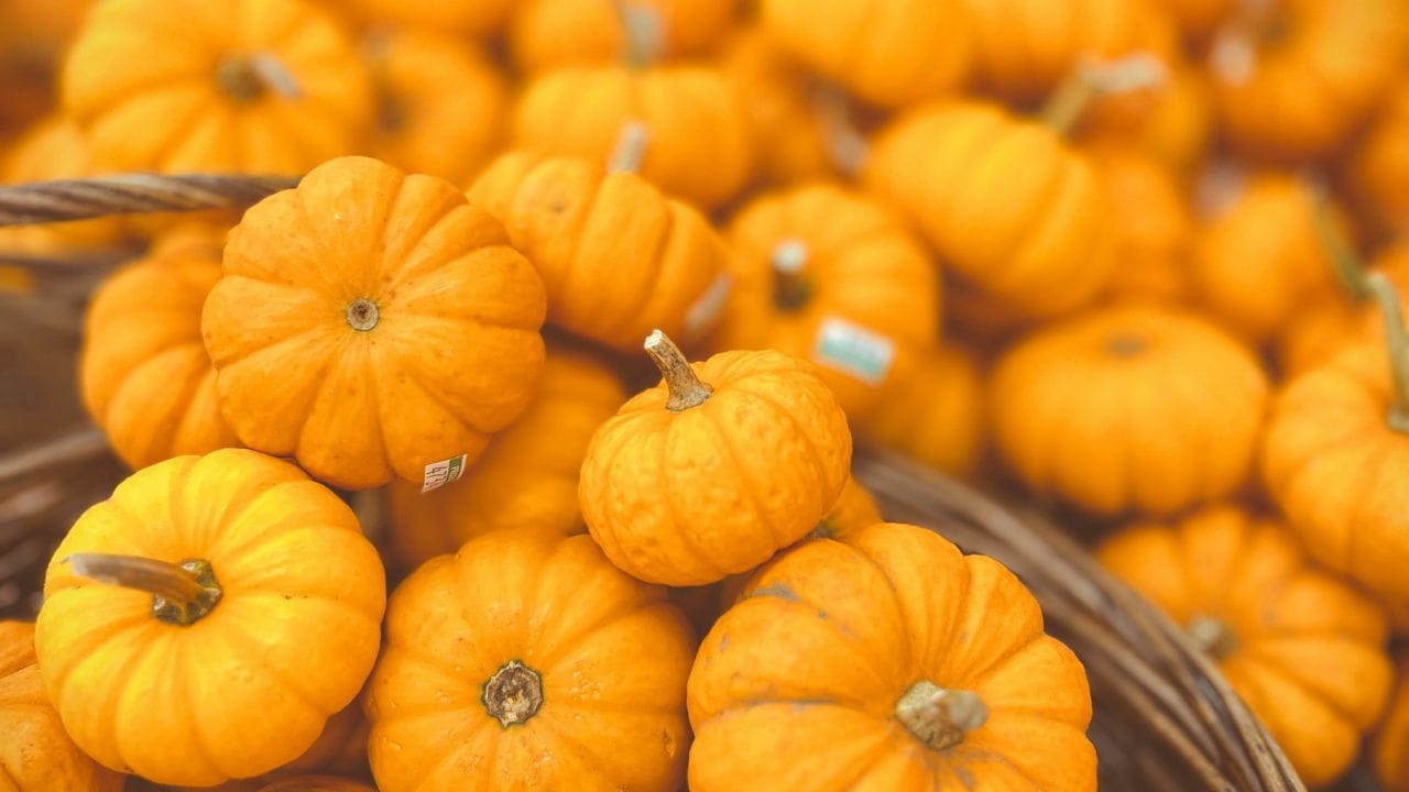 ധാരാളം നാരുകൾ അടങ്ങിയിട്ടുള്ളതിനാൽ മലബന്ധം പോലുള്ള പ്രശ്നങ്ങൾ ഒഴിവാക്കാനും ദഹനപ്രക്രിയ വേഗത്തിലാക്കാനും മത്തങ്ങ സഹായിക്കും.