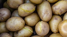 ഉരുളക്കിഴങ്ങ് കഴിച്ചാൽ ഷുഗർ കൂടുമോ? പ്രമേഹരോഗികൾ അറിഞ്ഞിരിക്കേണ്ട