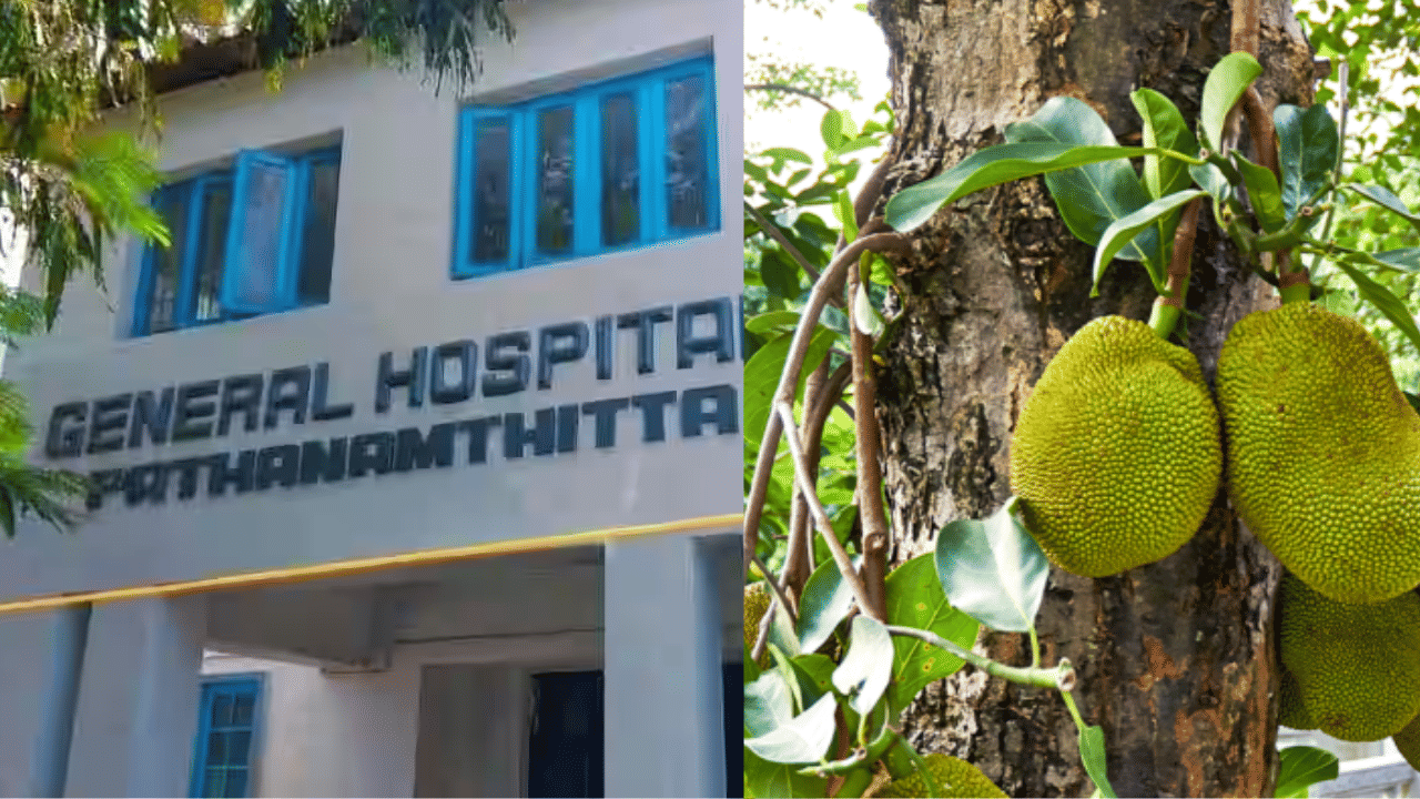 രോഗിയുടെ തലയിൽ ചക്കവീണു, അപകടം പത്തനംതിട്ട ജനറൽ ആശുപത്രിയിൽ രോഗിയുടെ തലയിൽ ചക്കവീണു, അപകടം പത്തനംതിട്ട ജനറൽ ആശുപത്രിയിൽ