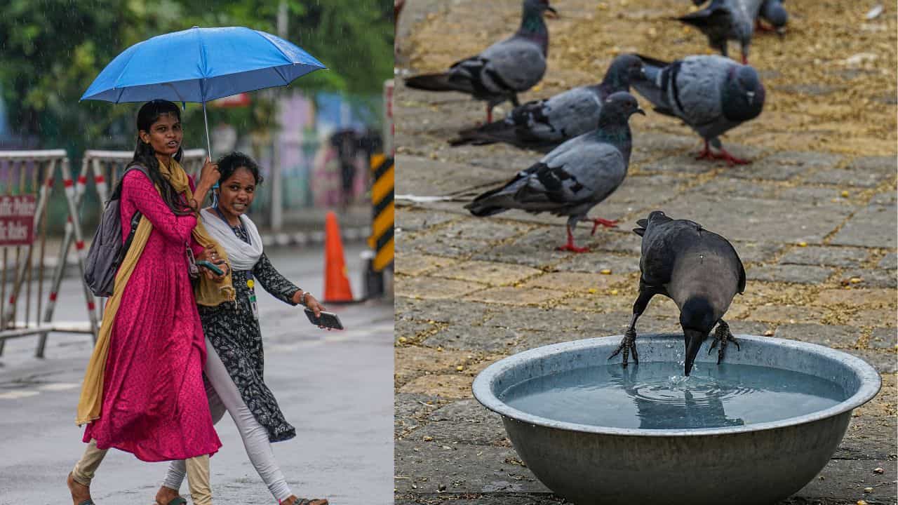 Kerala Weather Update: ആശ്വാസ മഴയ്ക്ക് സാധ്യത? പക്ഷേ ചൂടിന് ശമനമില്ല; ഇന്നത്തെ കാലാവസ്ഥ