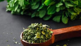 വിലപിടിച്ച കസൂരി മേത്തി ഇനി വീട്ടിൽ തയ്യാറാക്കാം! എളുപ്പവഴി ഇതാ