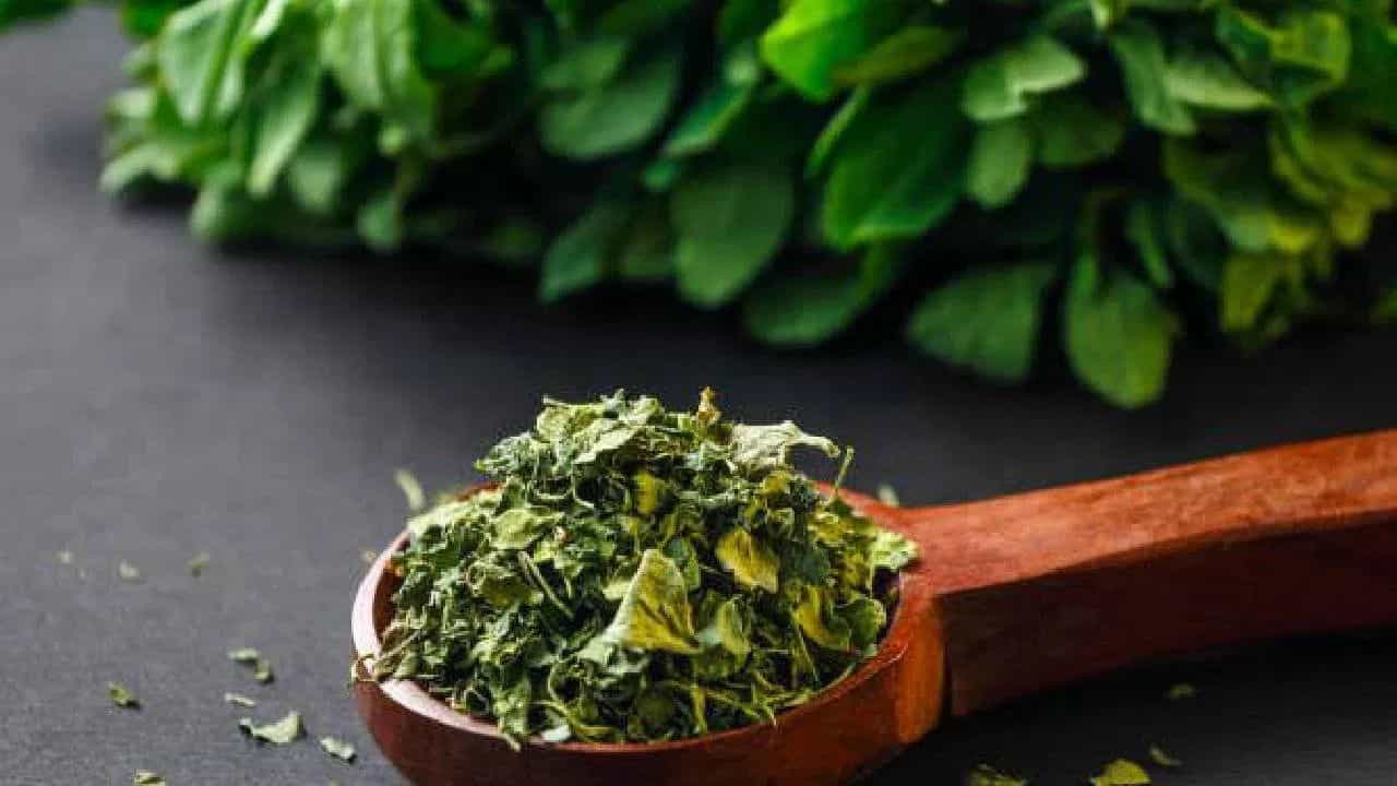 Kasuri Methi:വിലപിടിച്ച കസൂരി മേത്തി ഇനി വീട്ടിൽ തയ്യാറാക്കാം! എളുപ്പവഴി ഇതാ