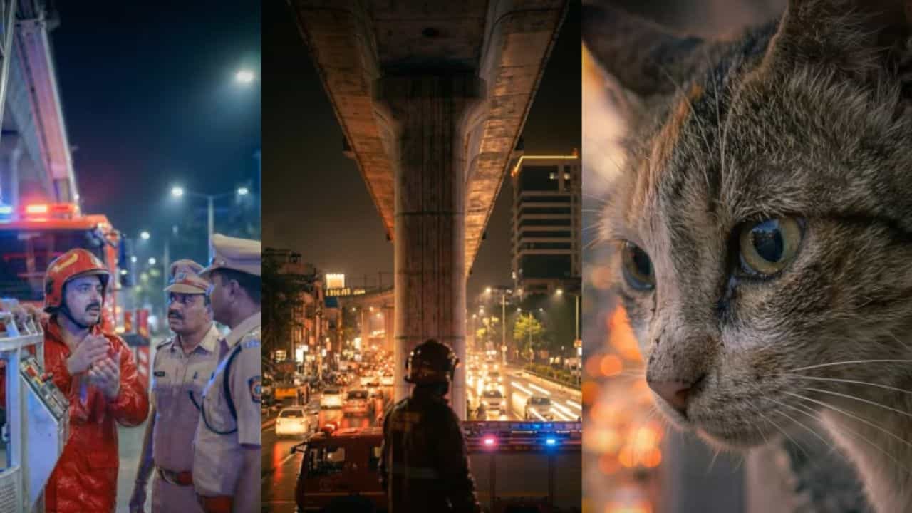 ഇതാണ് യഥാർഥ കേരള സ്റ്റോറി; മതമല്ല ജീവന് വേണ്ടിയാണ് കേരളം കൈകോർക്കുക