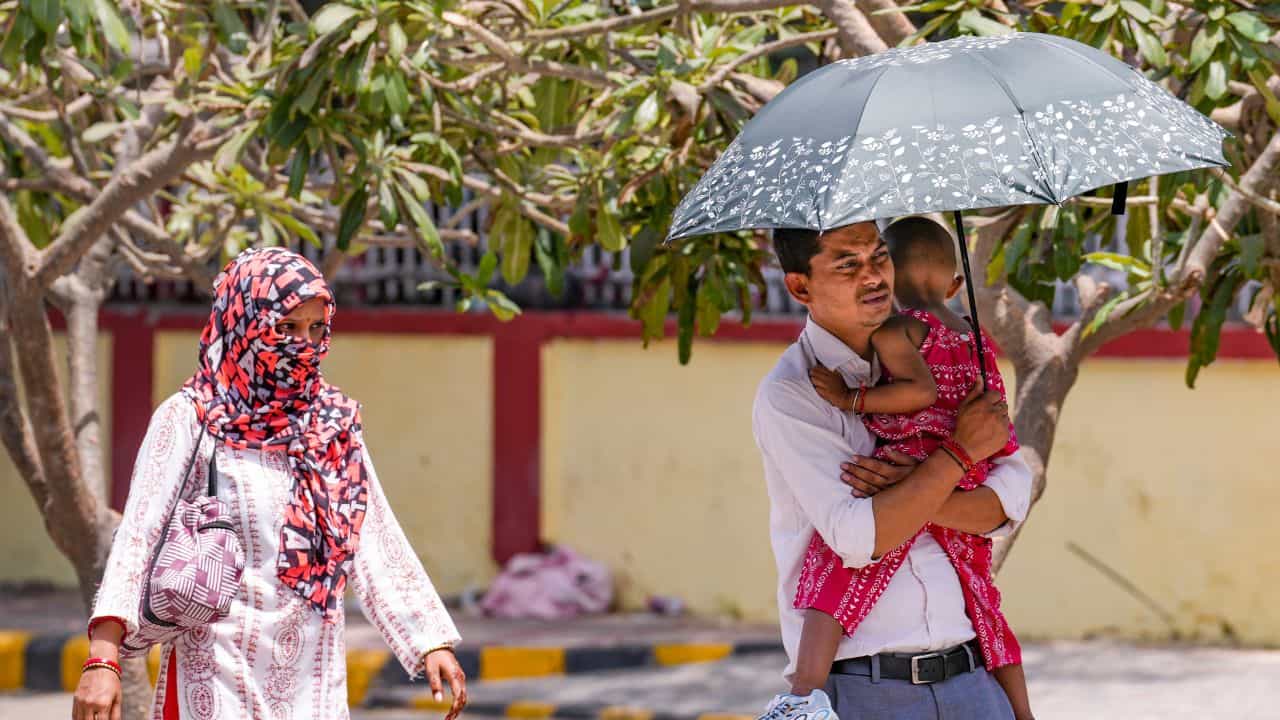 Kerala Weather Update: ചുട്ടുപൊള്ളി കേരളം... സൂര്യൻ കലിപ്പിലാണ്, മഴ എങ്ങുപോയി?; ജാഗ്രത, കാലാവസ്ഥ പ്രവചനം Kerala Weather Update: ചുട്ടുപൊള്ളി കേരളം... സൂര്യൻ കലിപ്പിലാണ്, മഴ എങ്ങുപോയി?; ജാഗ്രത, കാലാവസ്ഥ പ്രവചനം