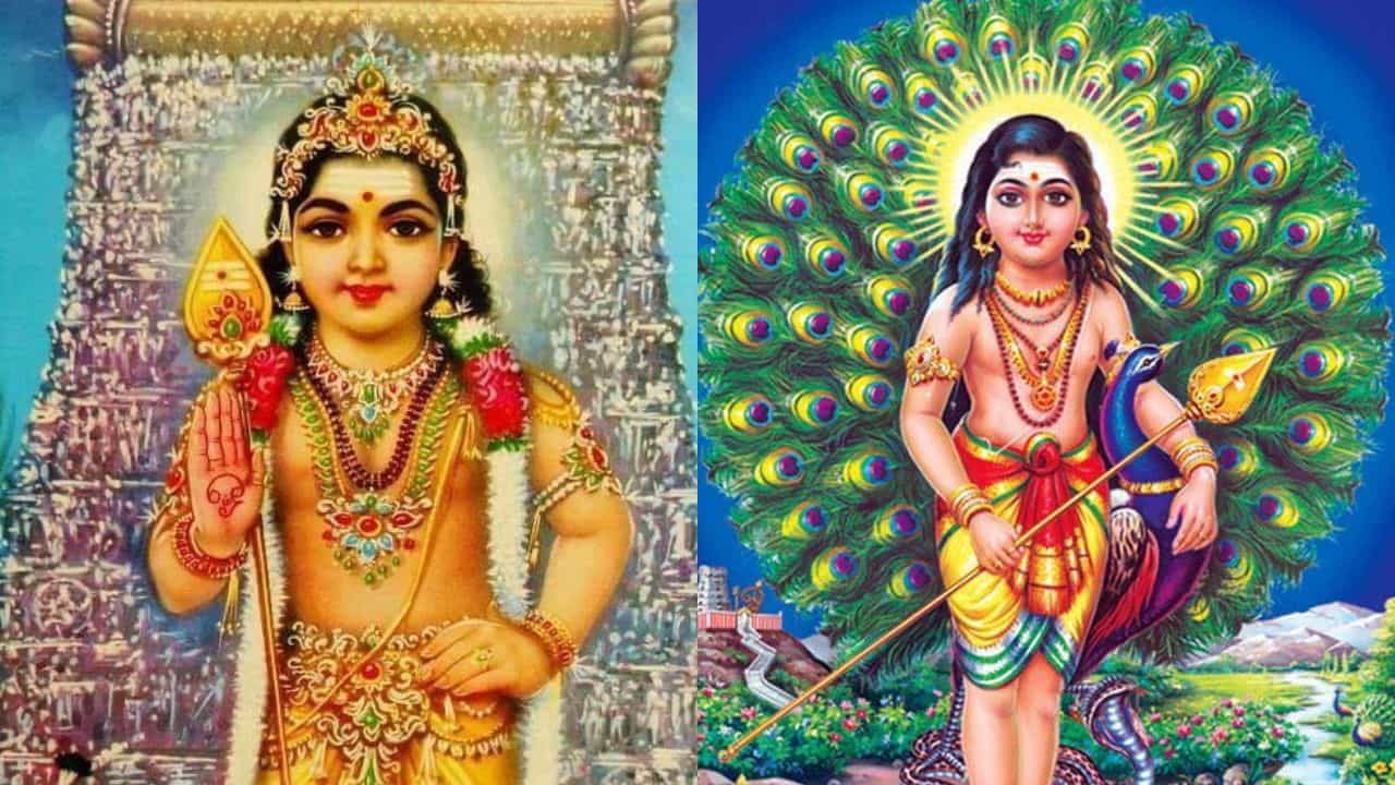 Thaipusam Thaipooyam 2026: ഇന്ന് തൈപ്പൂയം! സുബ്രഹ്മണ്യ സ്വാമി ക്ഷേത്രങ്ങളിൽ ഇന്ന് പ്രത്യേക പൂജകളും ആഘോഷങ്ങളും