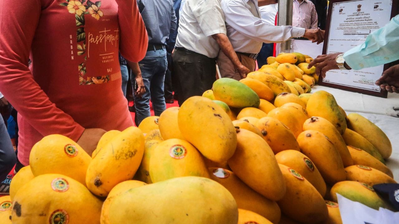 ശ്രീനിവാസപൂര്‍, കോലാര്‍, രാമനഗര, കൃഷ്ണഗിരി, ആന്ധ്രാപ്രദേശ് എന്നിവിടങ്ങളില്‍ നിന്നാണ് ബെംഗളൂരുവിലേക്ക് മാമ്പഴമെത്തുന്നത്. കാലാവസ്ഥയില്‍ സംഭവിക്കുന്ന മാറ്റം പഴത്തിന്റെ വിളവെടുപ്പിനെ സാരമായി ബാധിക്കാനിടയുണ്ട്. 


