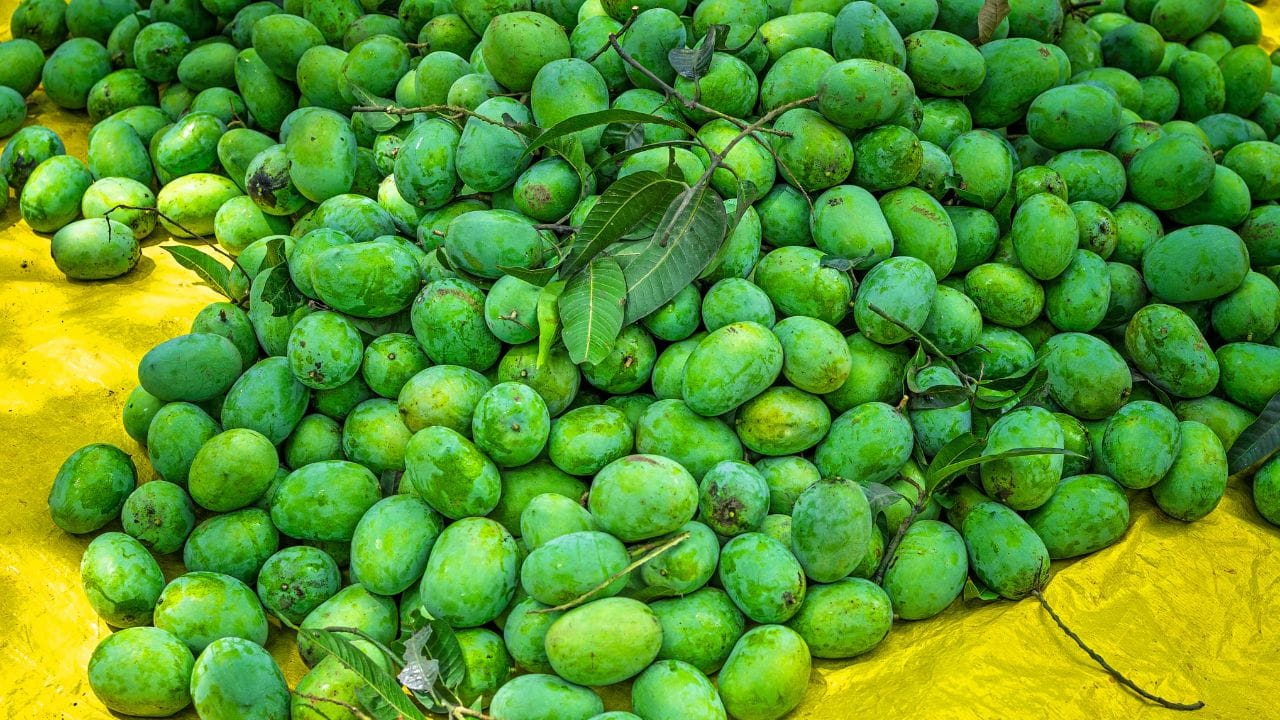 എന്നാല്‍ വേനല്‍ ആരംഭിക്കുമ്പോള്‍ വലിയൊരു വിലക്കയറ്റത്തിനും ബെംഗളൂരു സാക്ഷ്യം വഹിക്കുന്നുണ്ട്. ഇളനീരിന് വില വര്‍ധിക്കാന്‍ തുടങ്ങിയതിന് പിന്നാലെ, മറ്റൊരാളും തന്റെ കുതിപ്പ് ആരംഭിച്ചു. നിലവില്‍ 80 രൂപയാണ് നഗരത്തില്‍ ഇളനീരിന്റെ വില. ഇതിന്റെ ചുവടുപിടിച്ച് മാമ്പഴത്തിന്റെ വിലയും കുതിക്കുന്നു. 

