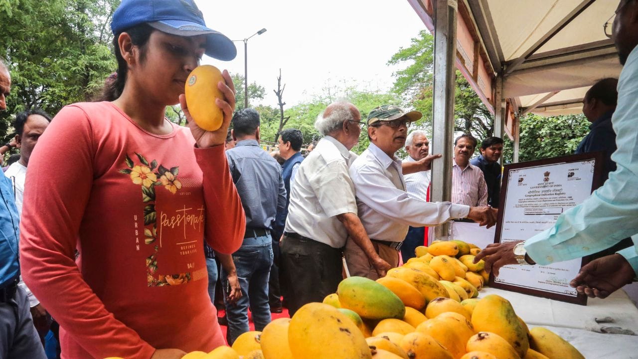 ദിവസവും പ്രഭാതഭക്ഷണത്തിൽ 250 ഗ്രാം മാമ്പഴം ഉൾപ്പെടുത്തുകയും പകരം ഉയർന്ന കലോറിയും കാർബോഹൈഡ്രേറ്റും അടങ്ങിയ മറ്റ് ഭക്ഷണങ്ങൾ ഒഴിവാക്കുകയും ചെയ്തു. ഈ കാലയളവിൽ രോഗികളിൽ രക്തത്തിലെ പഞ്ചസാരയുടെ അളവ് കുറയുന്നതായും ശരീരഭാരം നിയന്ത്രിക്കാൻ സഹായിക്കുന്നതായും കണ്ടെത്തി. കൂടാതെ ഹൃദയാരോഗ്യം മെച്ചപ്പെടുത്തുന്ന നല്ല കൊളസ്ട്രോൾ (HDL) വർദ്ധിപ്പിക്കാനും ഇത് സഹായിച്ചു.