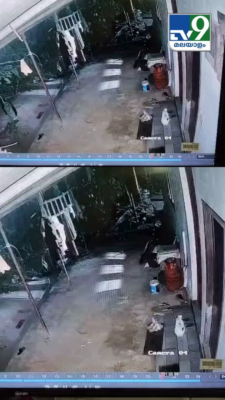 പൂച്ച പോലും അറിഞ്ഞില്ല, ആരാ പിടിച്ചോണ്ട് പോയതെന്ന്