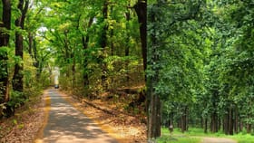 തേക്കിൻ്റെ സാമ്രാജ്യം: നിലമ്പൂരിൻ്റെ കാനന ചരിത്രം അറിയാം