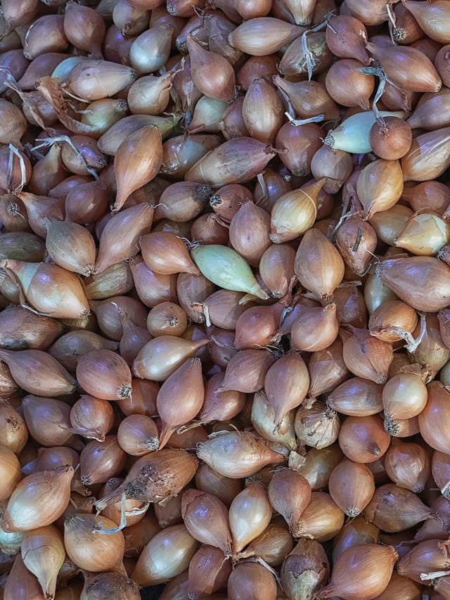 ഉള്ളിത്തൊലി ഇനി ബുദ്ധിമുട്ടിക്കില്ല! പെട്ടെന്ന് കളയാം