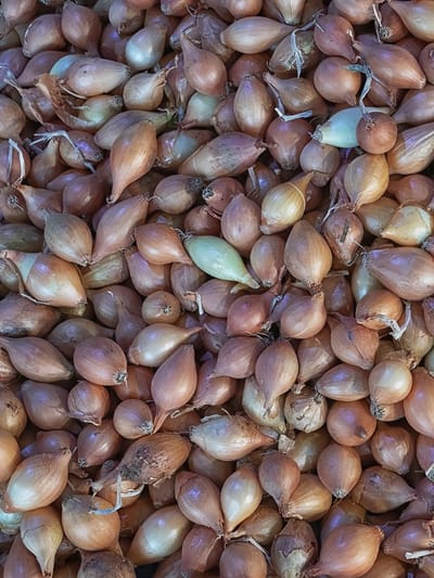 ഉള്ളിത്തൊലി ഇനി ബുദ്ധിമുട്ടിക്കില്ല! പെട്ടെന്ന് കളയാം