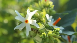 Today’s Horoscope: ദേഷ്യവും അമിതാവേശവും വേണ്ട! 12 രാശികളുടെ ഇന്നത്തെ സമ്പൂർണ്ണ നക്ഷത്രഫലം