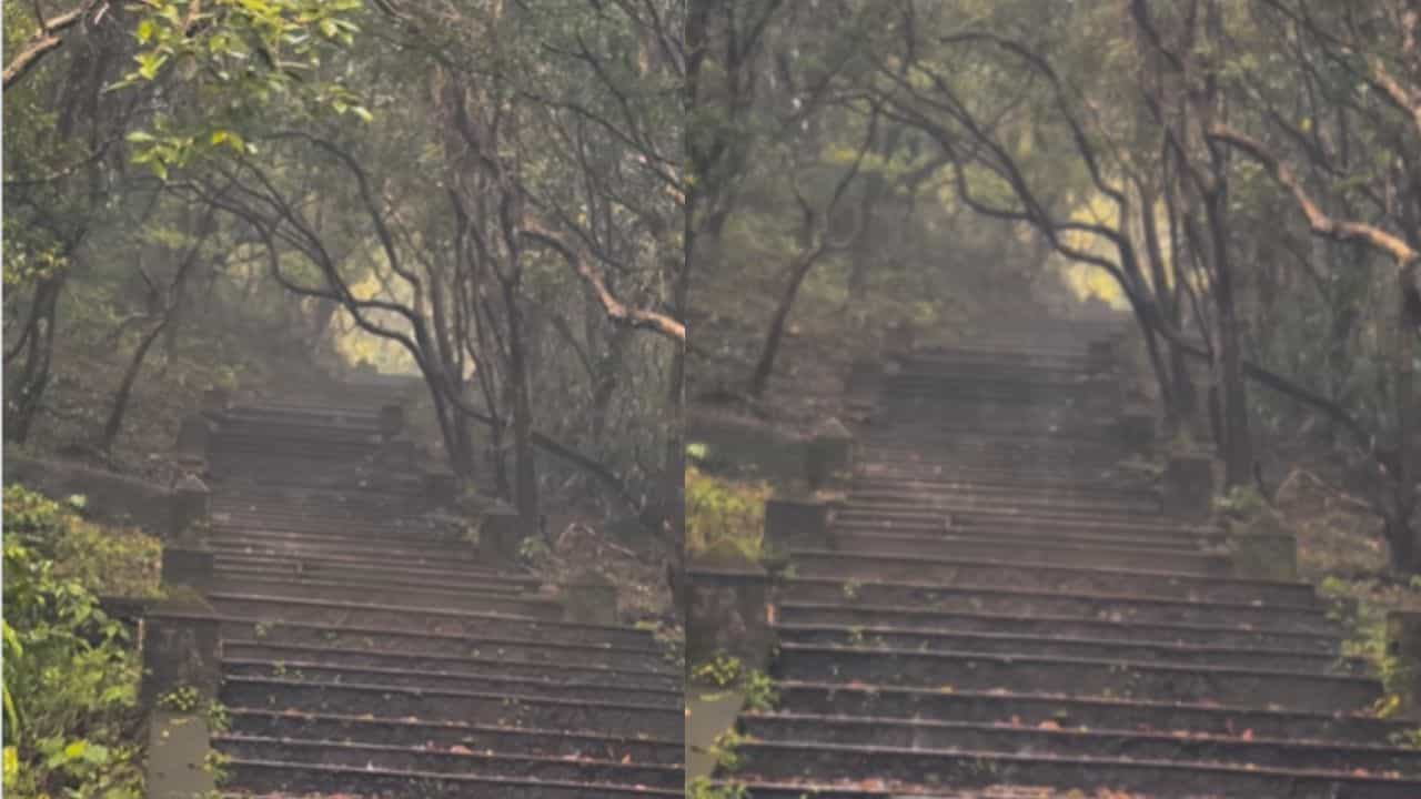 Viral Video: ദക്ഷിണ കശ്മീരില്‍ മഴ പെയ്യുന്നത് കണ്ടിട്ടുണ്ടോ? സഞ്ചാരികളെ വരവേറ്റ് പൊന്മുടി; വീഡിയോ