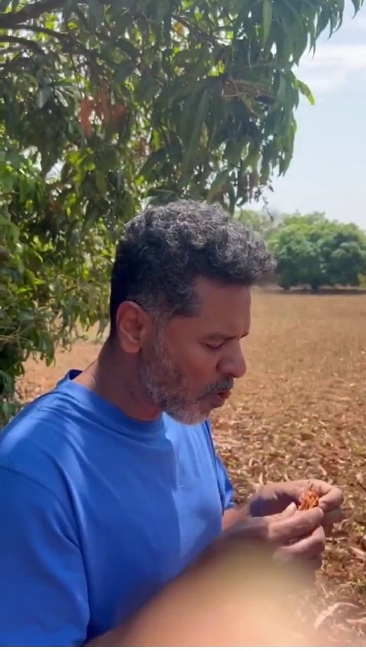 നിങ്ങളും ഇതുപോലെ പുളി കഴിച്ചിട്ടുണ്ടോ? പ്രഭുദേവ പങ്കുവച്ച വീഡിയോ