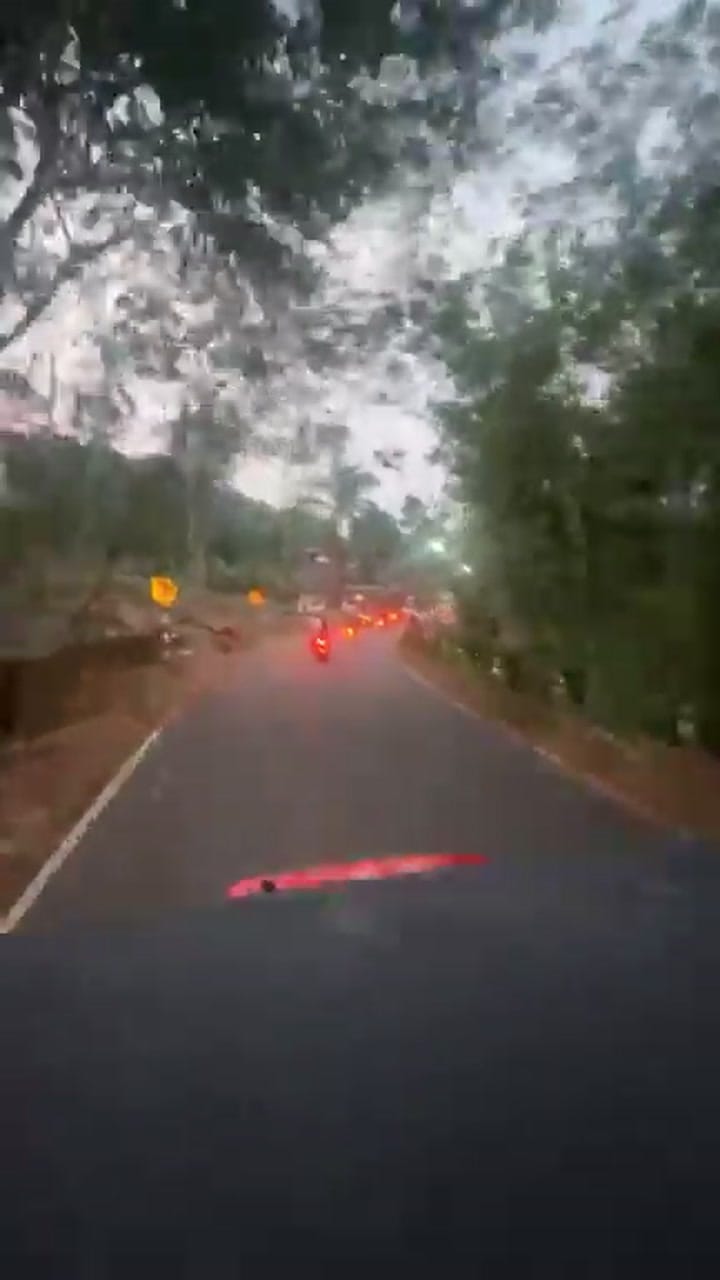 ആറന്മുള മണ്ഡലത്തിലെ ഉദ്ഘാടനം ചെയ്ത റോഡുകളിലൂടെ മന്ത്രി വീണാ ജോര്‍ജ് നടത്തിയ റോഡ് ഷോ