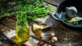 മുടി വളരാൻ റോസ്‌മേരി ഓയിൽ ശരിക്കും സഹായിക്കുമോ?; എങ്ങനെ ഉപയോഗിക്ക