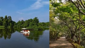 എന്തുകൊണ്ടാണ് സരോവരത്തെ 'സ്വപ്ന നഗരം' എന്ന് വിളിക്കുന്നത്?