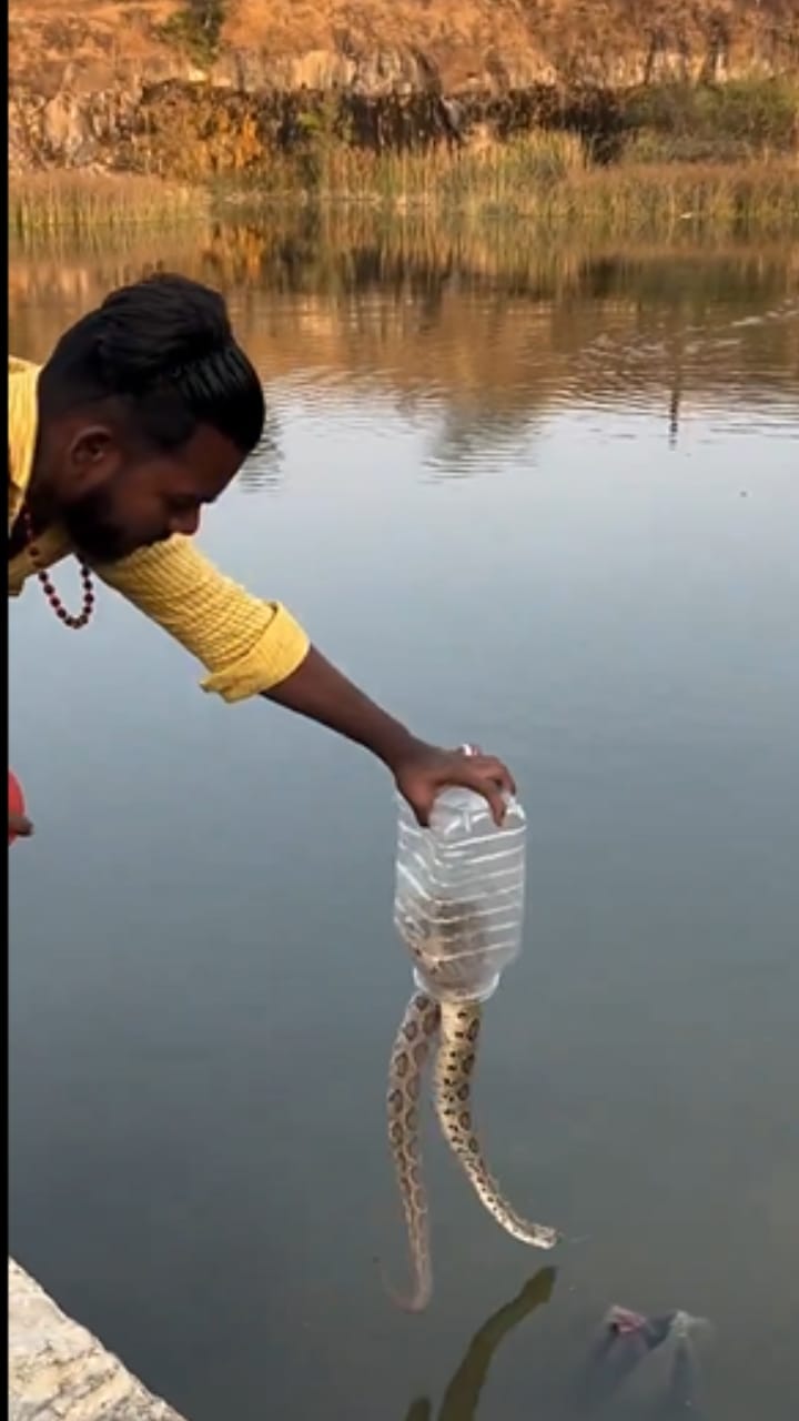 വെള്ളത്തിലേക്ക് വിട്ടിട്ടും പാമ്പ് പോയില്ല