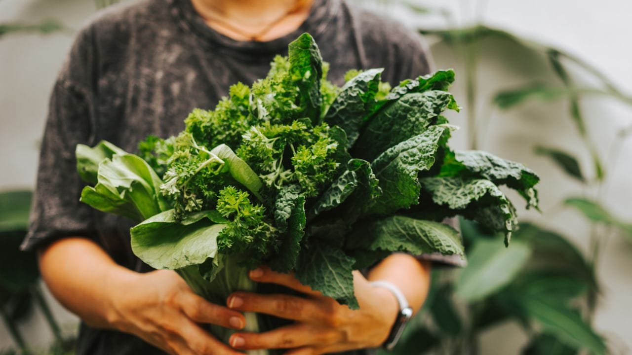 ആന്റി ഓക്സിഡന്റുകള് ധാരാളം അടങ്ങിയ പഴങ്ങള്, പച്ചക്കറികള്, ഇലക്കറികള്, ഫ്ളാക്സ് സീഡ്, സോയാബീന് എന്നിവ കഴിക്കുന്നത് നല്ലതാണ്. ഇത് തലച്ചോറിന്റെ പ്രവര്ത്തനം മെച്ചപ്പെടുത്താന് സഹായിക്കും.