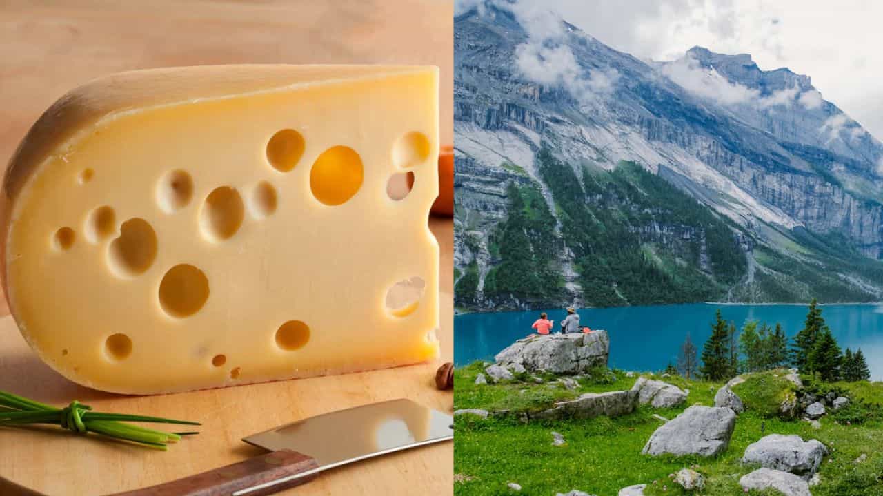 Land Of Cheese: 300-ലധികം തരം ചീസുകൾ! എവിടെയാണ് ചീസ് പ്രേമികളുടെ ആ സ്വർഗ്ഗ ഭൂമി