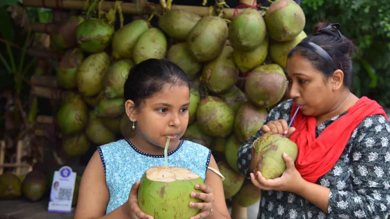 Bengaluru Tender Coconut Price: കനത്ത ചൂടും ക്ഷീണവും; ബെംഗളൂരുവില് ഇളനീരിന് റെക്കോഡ് വില Bengaluru Tender Coconut Price: കനത്ത ചൂടും ക്ഷീണവും; ബെംഗളൂരുവില് ഇളനീരിന് റെക്കോഡ് വില