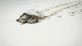 Union Budget 2026 : രാജ്യത്തിൻ്റെ വികസനക്കുതിപ്പിന് പുതിയ ദിശാബോധം; പുതിയ ബജറ്റ് ഇന്ത്യയെ ആഗോള ഹബ്ബാക്കും