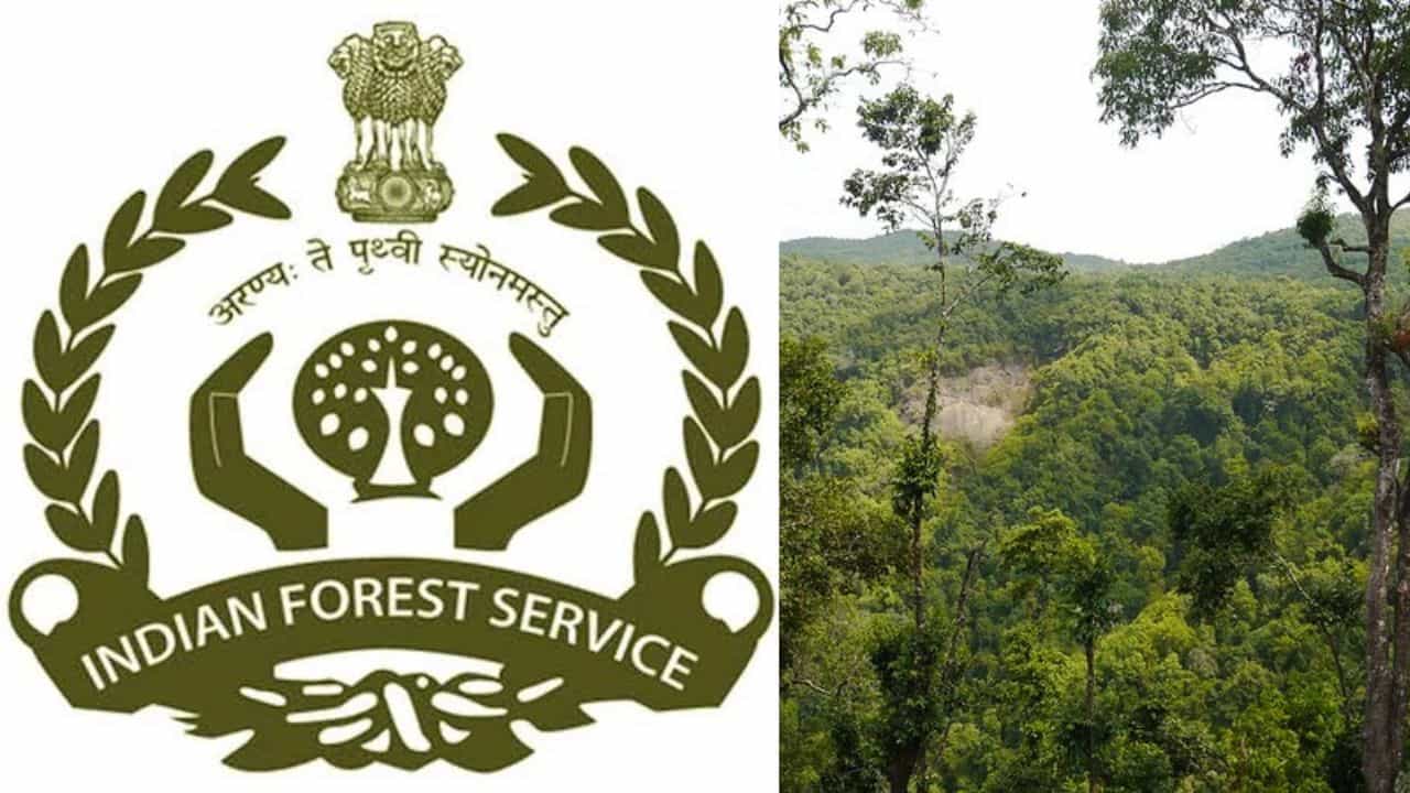 UPSC IFS Recruitment: പ്രകൃതിയെ അറിഞ്ഞ് ജോലി ചെയ്യാം, ഐഎഫ്എസിൽ ഒഴിവുകൾ; അപേക്ഷിക്കാനുള്ള അവസാന തീയതി