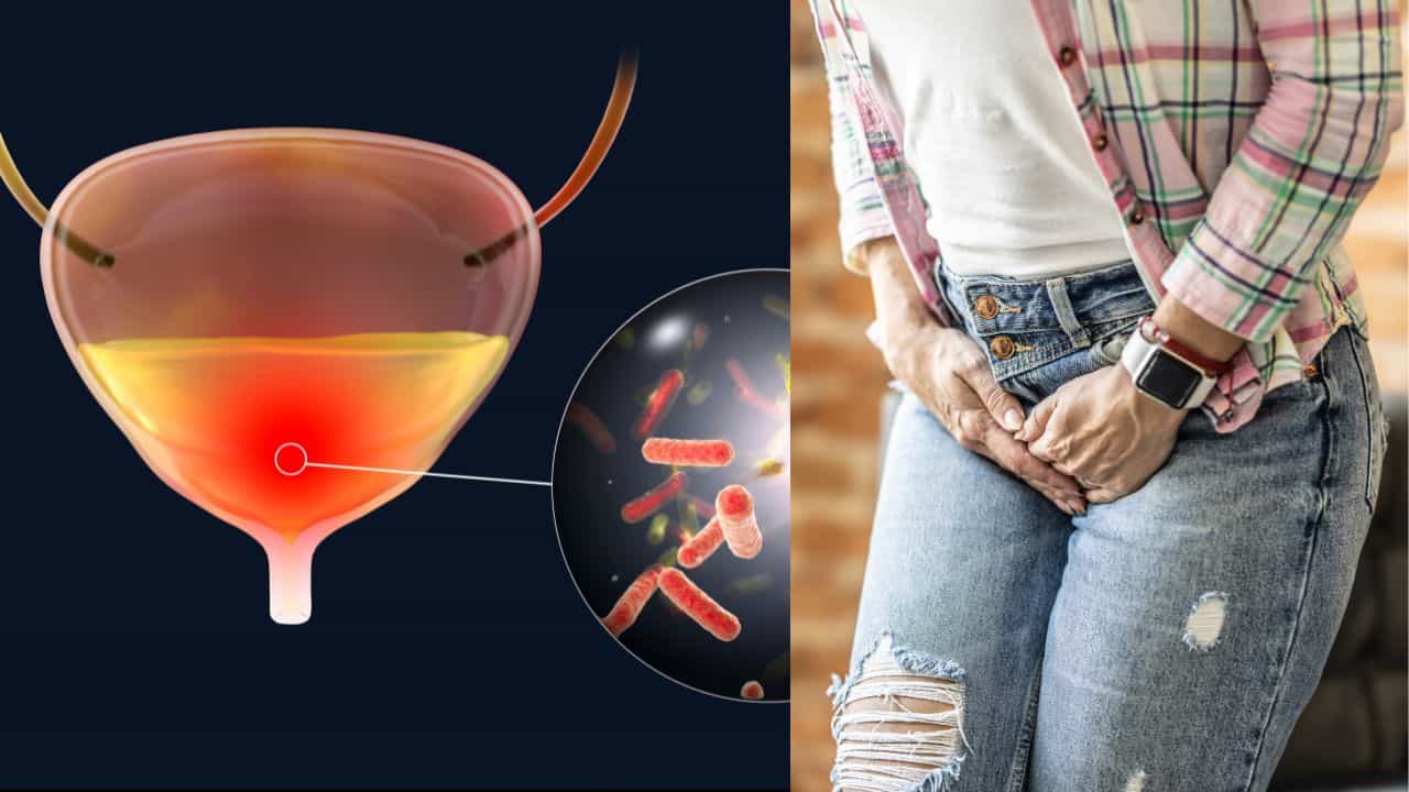 Urinary Problems: മൂത്രാശയ പ്രശ്നങ്ങൾ നിസാരമാണോ? അവഗണിച്ചാൽ കാത്തിരിക്കുന്നത്....; ലക്ഷണങ്ങൾ