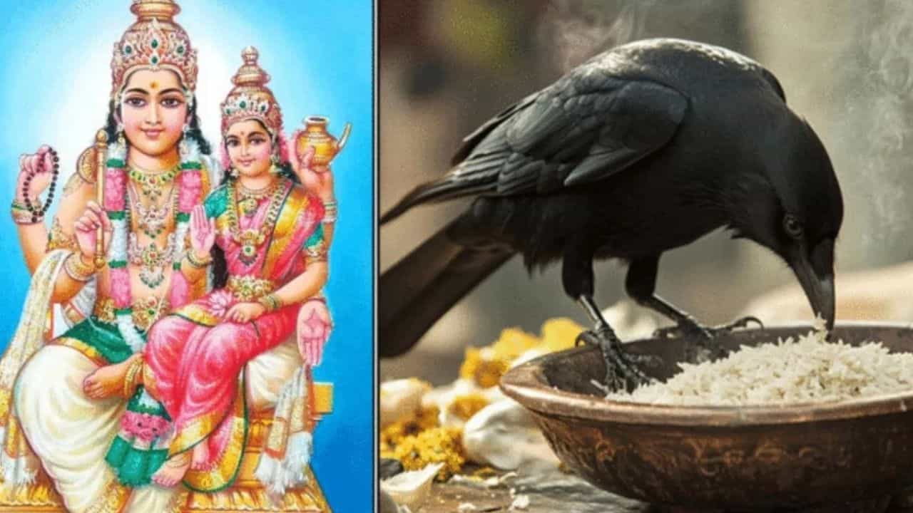 Shukra Dosha Remedies: ഈ ലക്ഷണങ്ങൾ കണ്ടു തുടങ്ങിയോ? ശുക്രൻ നിങ്ങളോട് കോപത്തിലാണ്