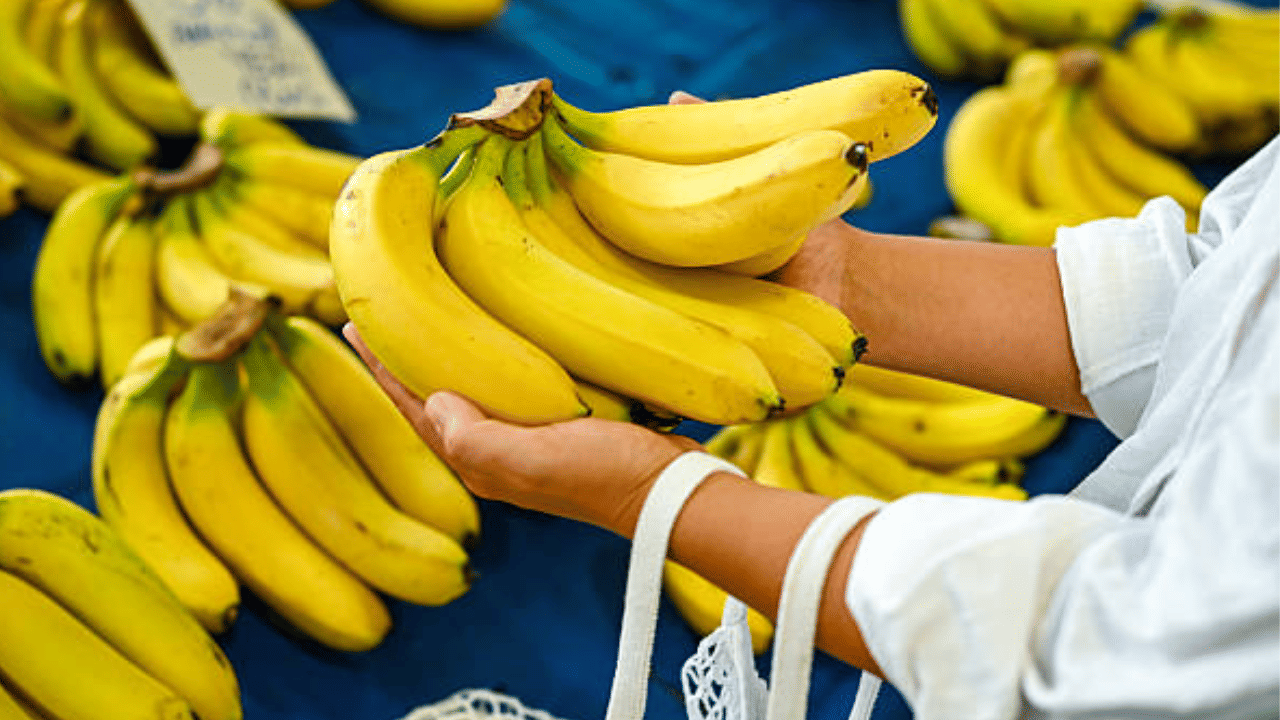 അതുപോലെ വ്യായാമം കഴിഞ്ഞ് 30 മിനിറ്റിനുള്ളിൽ പഴം കഴിക്കുന്നത് പേശികളുടെ വീണ്ടെടുപ്പിന് സഹായിക്കുമെന്നും പറയപ്പെടുന്നു. വ്യായാമത്തിലൂടെ നഷ്ടപ്പെട്ട ഊർജ്ജം തിരികെ ലഭിക്കാൻ ഇത് സഹായിക്കുന്നു.
