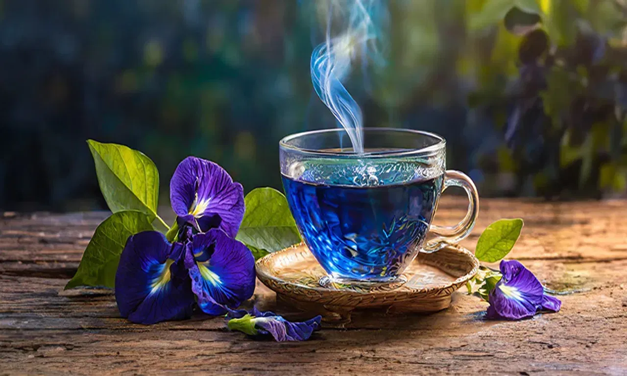 കഫീൻ അടങ്ങിയിട്ടില്ലാത്ത പാനീയമായതിനാൽ, രാത്രിയിൽ ഇത് കുടിക്കുന്നത് പേശികളെയും മനസ്സിനെയും റിലാക്സ് ചെയ്യിപ്പിക്കുന്നു. ഇത് നല്ല ഉറക്കം നൽകാനും രാവിലെ ഉന്മേഷത്തോടെ എഴുന്നേൽക്കാനും സഹായിക്കുന്നു.