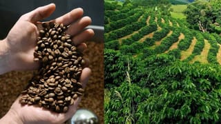 Vegetables: കുട്ടികൾ പച്ചക്കറി കഴിക്കുന്നില്ലേ? ഇങ്ങനെ കൊടുത്തുനോക്കൂ….