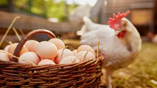 Dubai Air Taxi Uber Booking: റോഡിൽ മാത്രമല്ല ഇനി ആകാശത്തും ഊബർ ബുക്ക് ചെയ്യാം … സർവ്വീസ് ഈ വർഷം അവസാനത്തോടെ